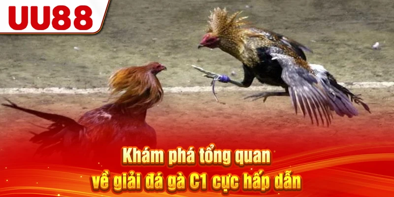 Khám phá tổng quan về giải đá gà C1 cực hấp dẫn